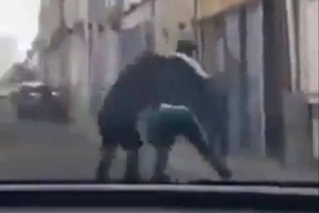 Read more about the article Horrific moment French rabbi is assaulted by teenager while leaving synagogue with 9-year-old son