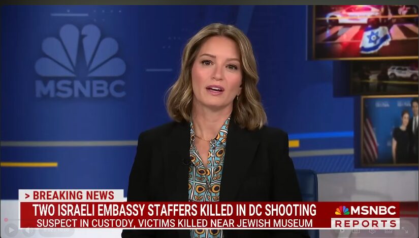 Read more about the article Jewish people ‘truly terrified’ for their safety: Israeli writer speaks out on DC shooting
