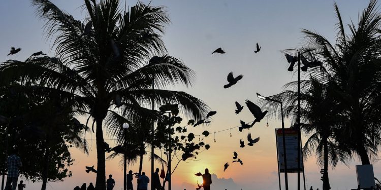 Read more about the article Trouble in paradise: Maldives bans Israelis over Gaza war