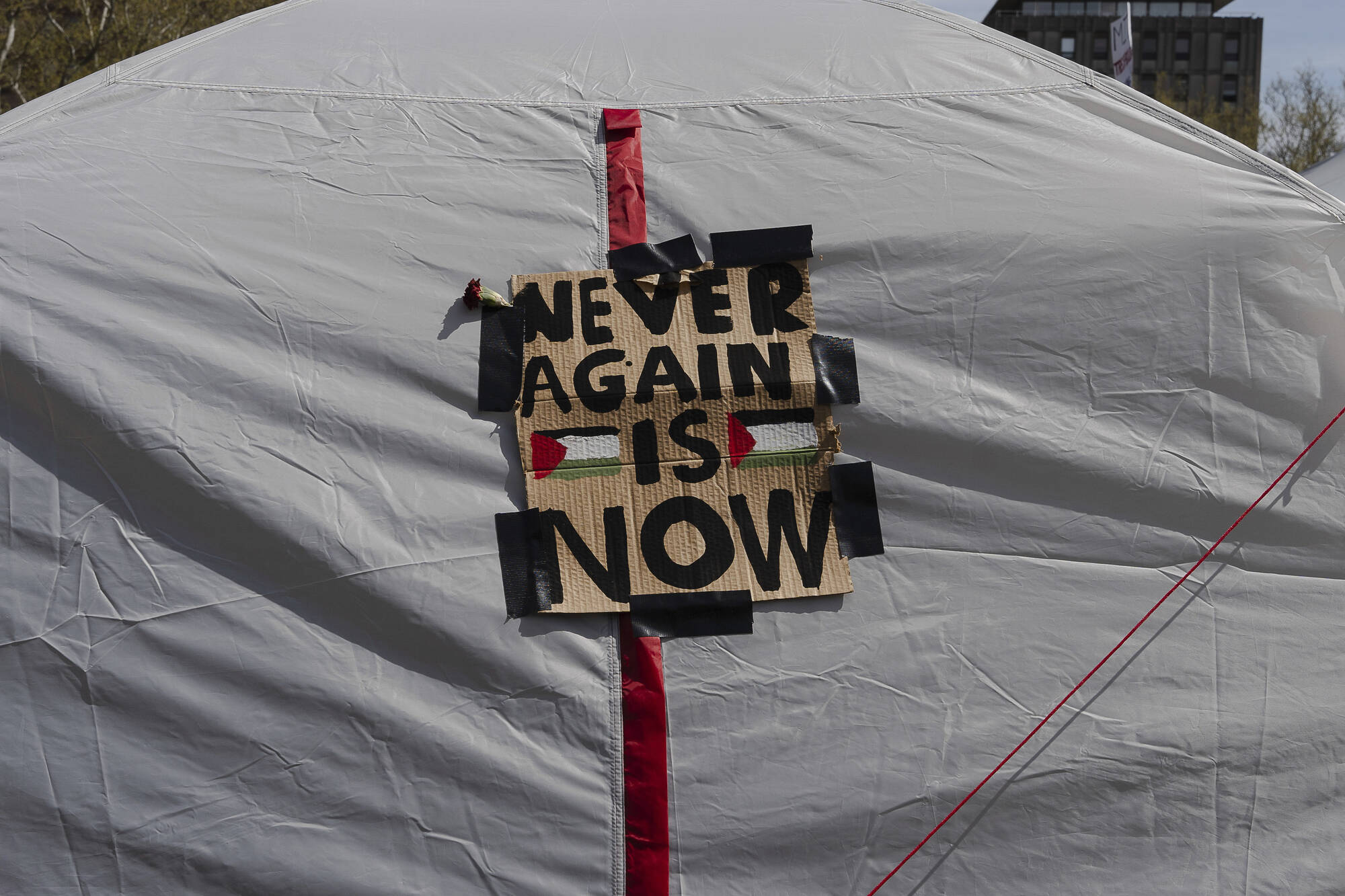 Read more about the article Never Again for All, or for No One