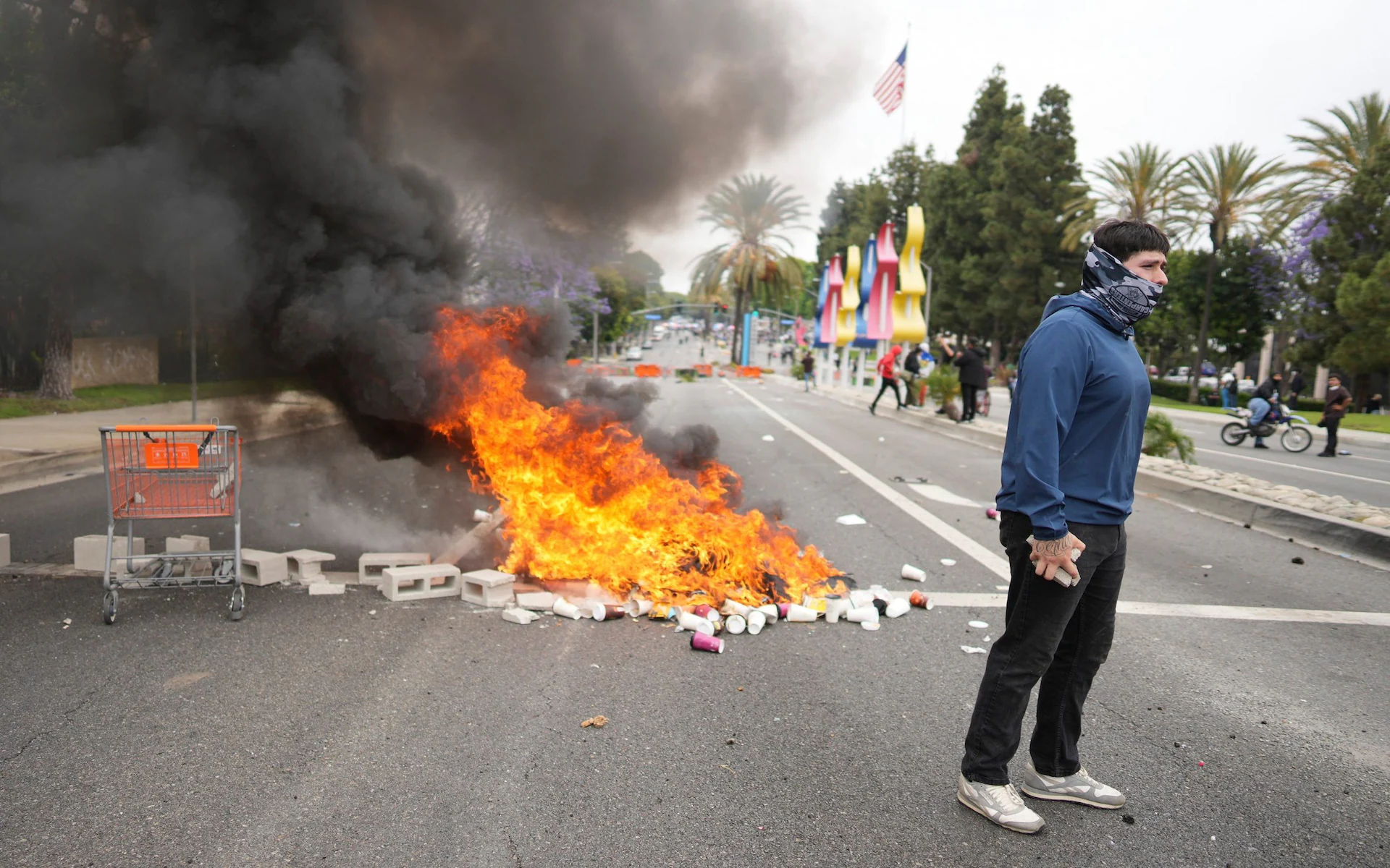 Read more about the article LA riots, BLM, Save Gaza: get ready for a summer of destructive far-Left activism